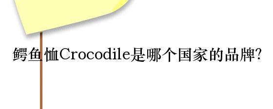 香港新加坡地区2024年bb电子官方网站入学提前批夏令营招生汇总抢优先录取和奖学金名额！